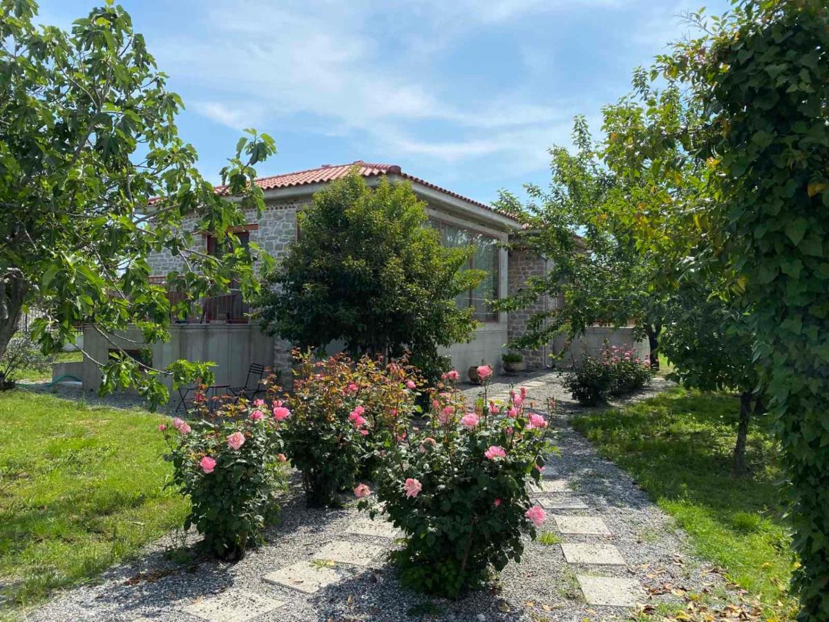 Kampus Luxury Villas Tríkala Kültér fotó