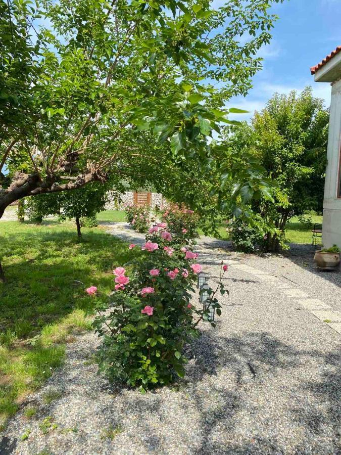 Kampus Luxury Villas Tríkala Kültér fotó