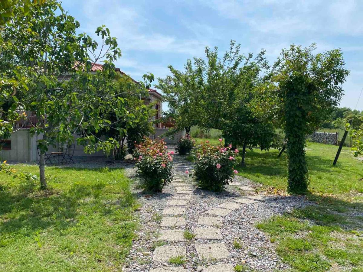 Kampus Luxury Villas Tríkala Kültér fotó